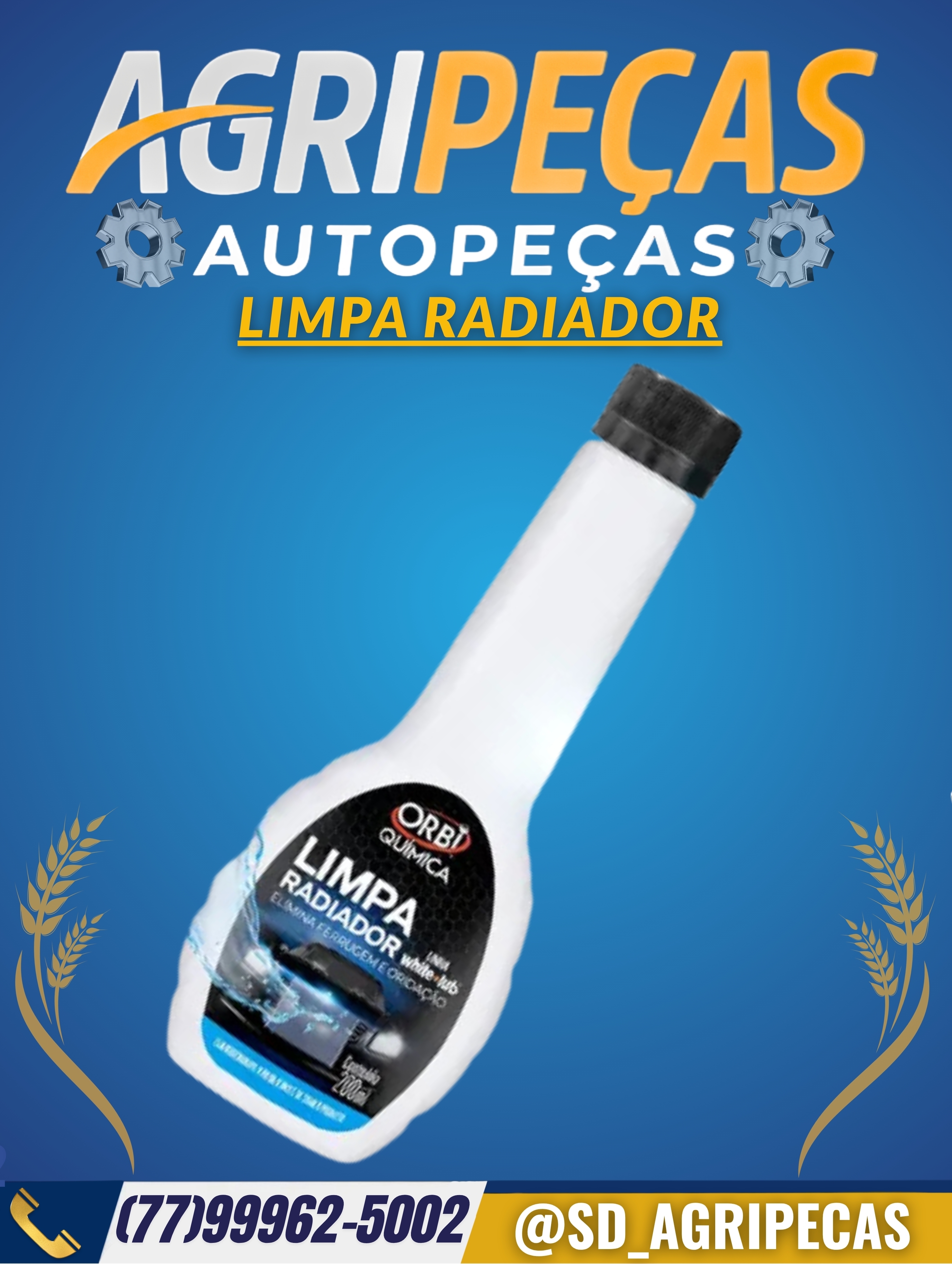 LIMPA RADIADOR